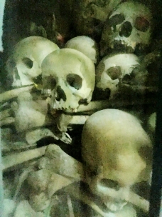 Skulls in the Killing Cave
